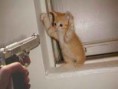 /album/fotogaleria/s1-jpg/