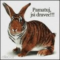 /album/fotogaleria/s7-jpg/